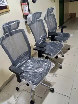 Office Chair (Ergonomic)