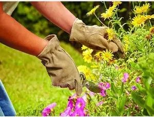 Briers Premium Olive Gardening Gloves, Washable, Thorn-Proof