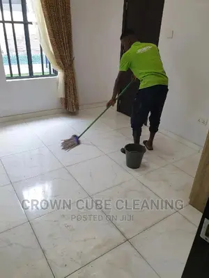 Professionals Cleaning Services