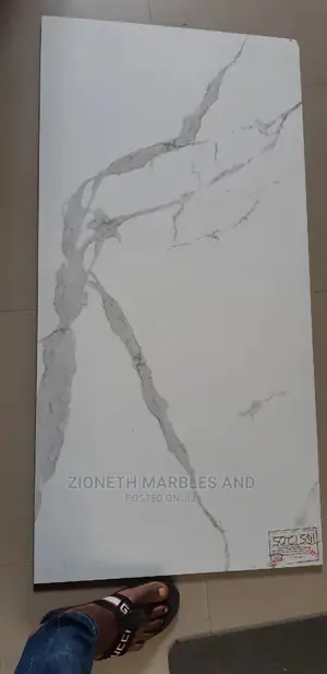 White 120x60 Porcelain Tiles