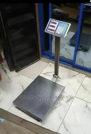 Quality Measuring Scale 300kg Big Base