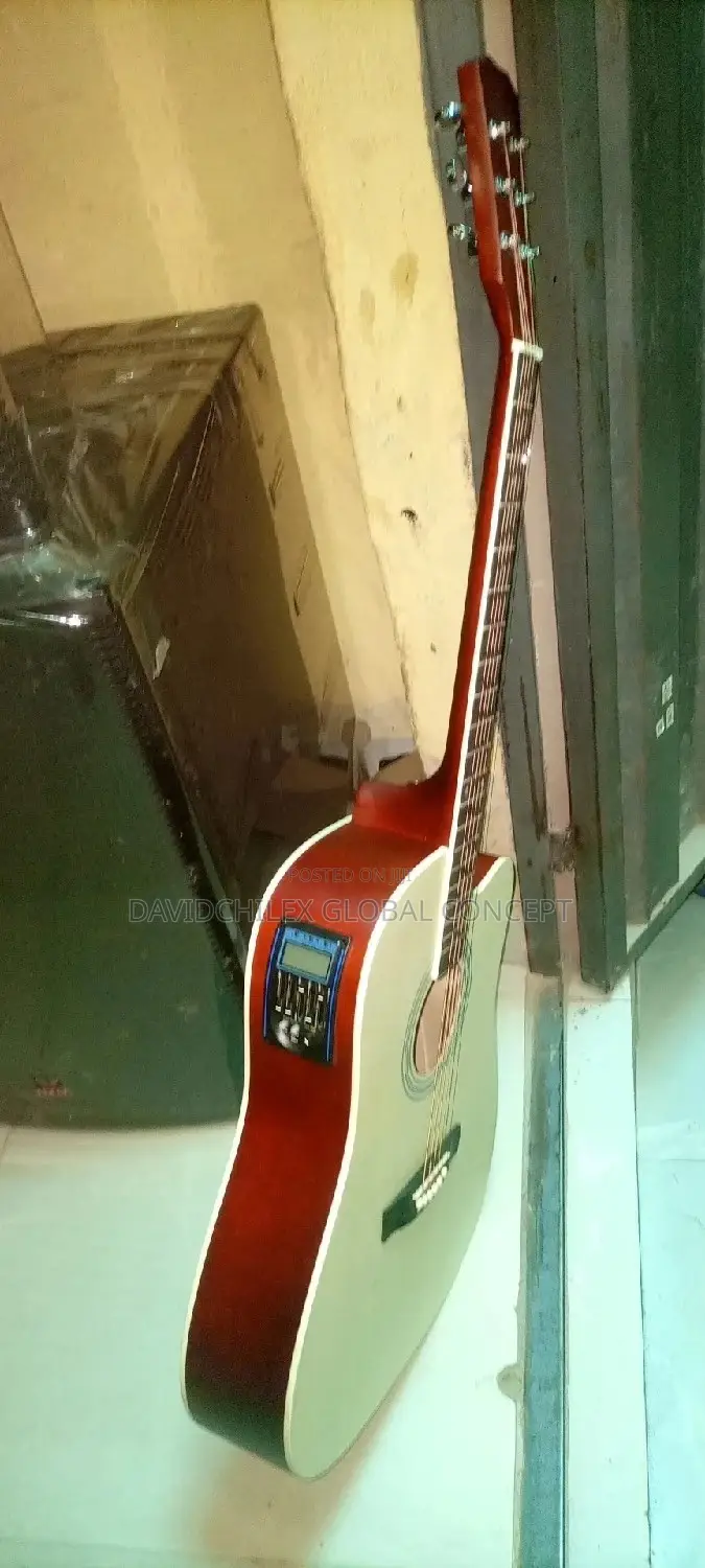 Semi Acoustic Guitar