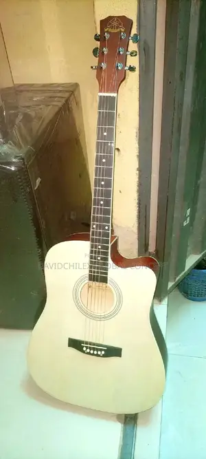 Semi Acoustic Guitar