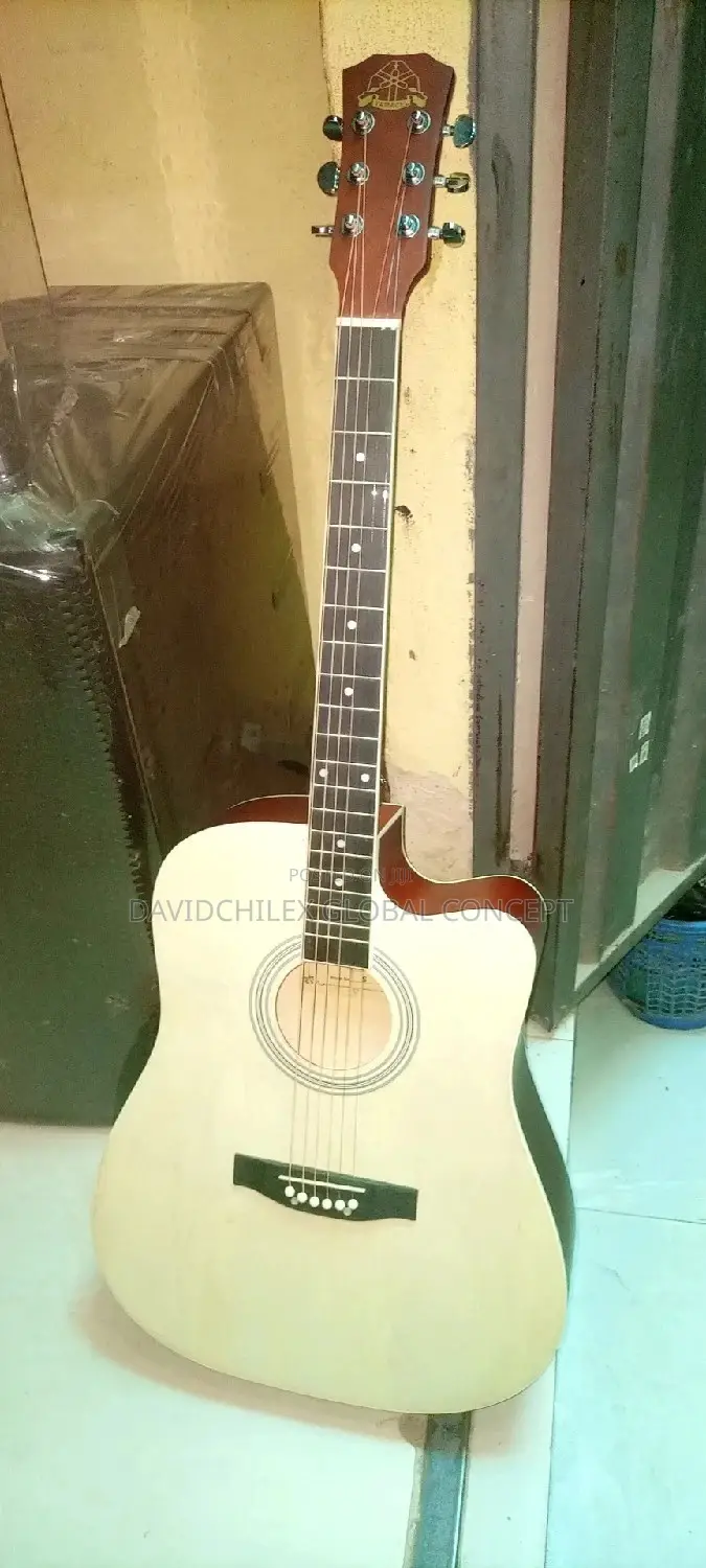 Semi Acoustic Guitar