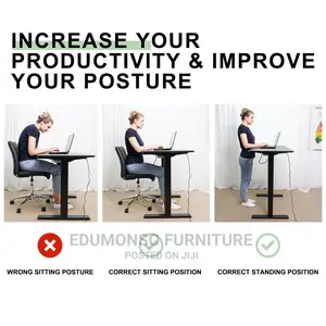 Height Adjustable Electric Standing Desk