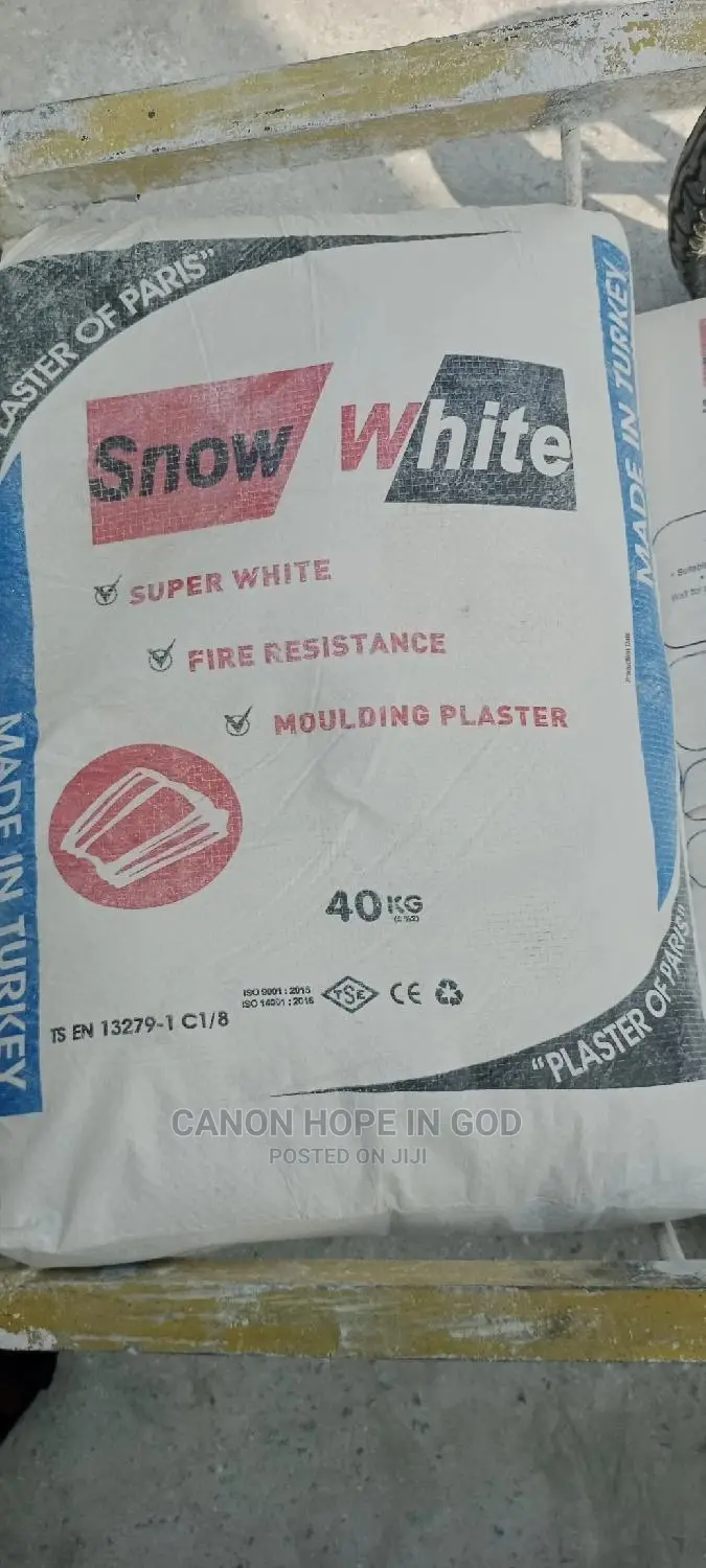 Snow White Turkey Pop Cement