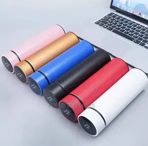 Temperature Water Flask