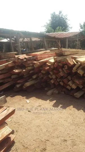 Ayin or Iron Woods for Your Roofing Purposes