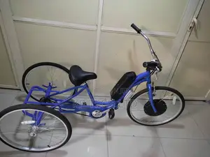 Electric Bicycle Conversion