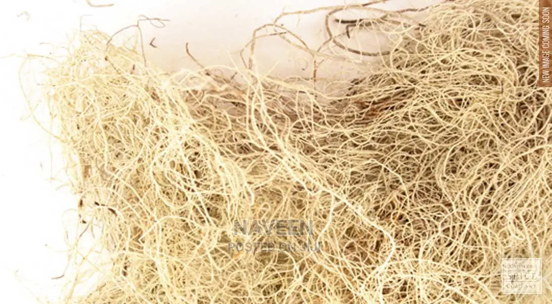 Unsea Lichen