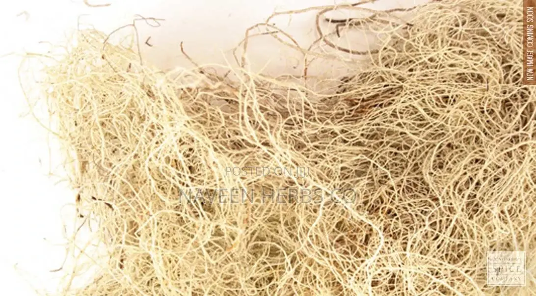 Unsea Lichen
