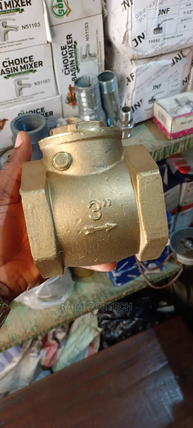 3" Iron to Iron Non-Return Valve