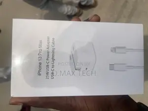 25w Original Apple iPhone Charger