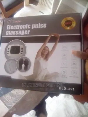 Electronic Pulse Massager