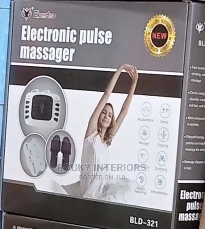 Electronic Pulse Massager