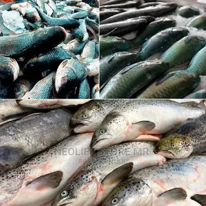 Supergro for Fish All Livestocks!
