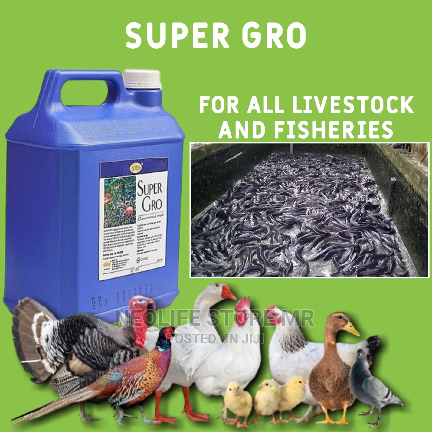Supergro for Fish All Livestocks!
