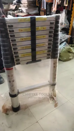 Telescopic Ladder 2.5m * 2.5m (5 Meter)