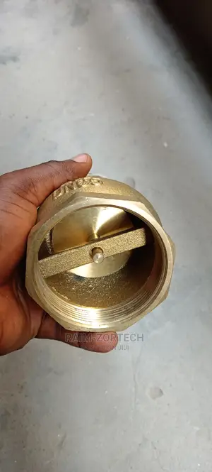 21/2" Iron Brass Foot Valve