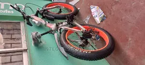 Aduit Bicycles for Adults