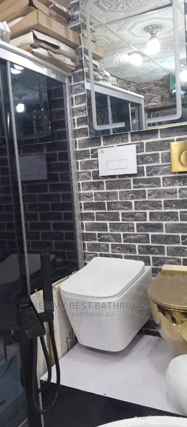 Wall Hung Wc Executive