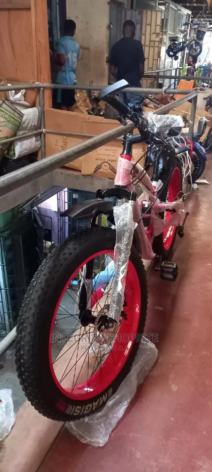 Aduit Bicycles for Adults