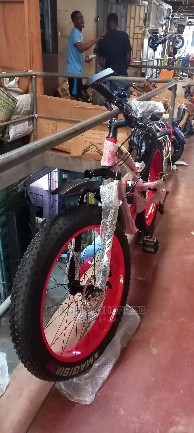 Aduit Bicycles for Adults