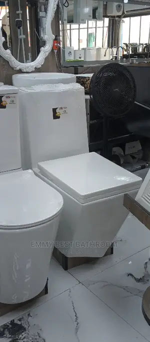 Ideal England WC Set With the Wash Hand