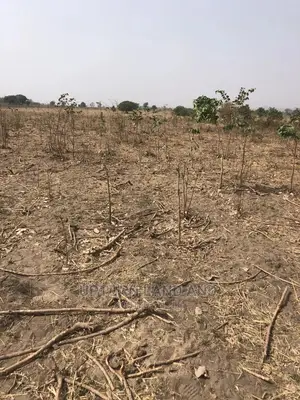 Uprooted Farmland Behind Sugarcane Factory for Sale