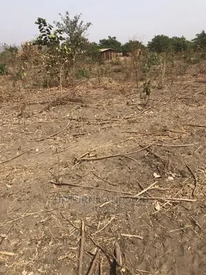 100 Acres of Land for Sale in a Very Good Location
