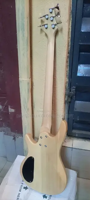 Wellsound 5strings Bass Guitar