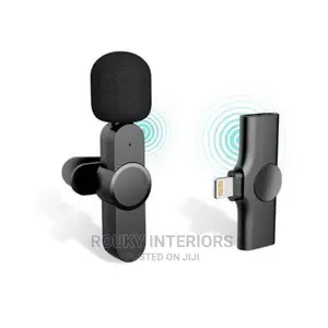 Double Microphone for iPhone and Type C