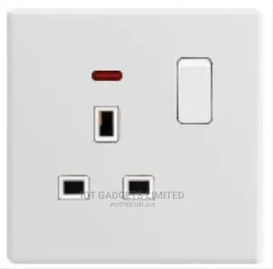 Mf Switched Socket With Neon