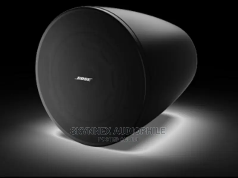 Bose Pendant Speaker