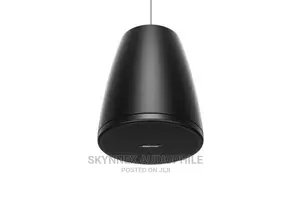 Bose Pendant Speaker