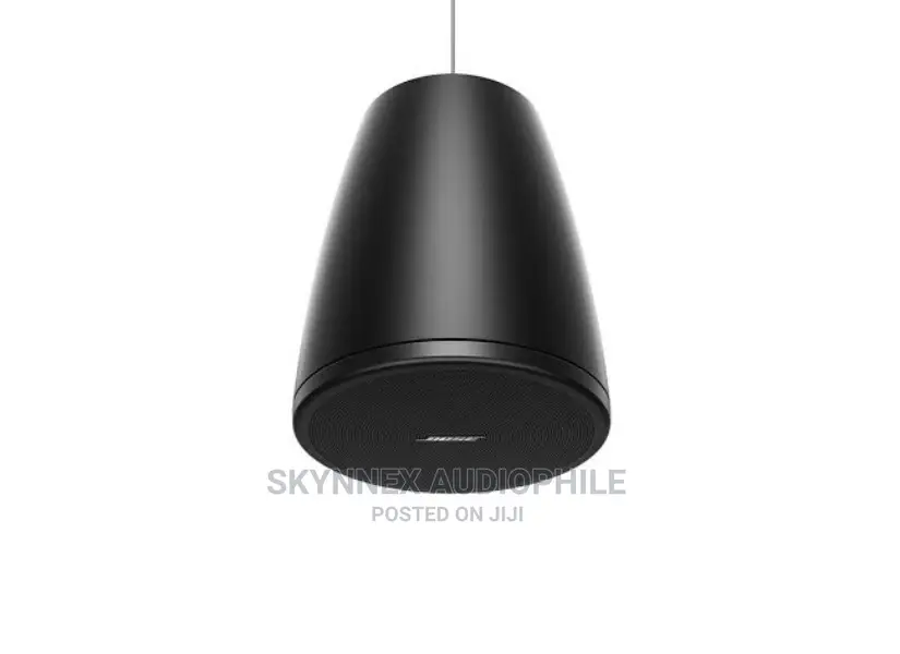 Bose Pendant Speaker