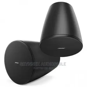 Bose Pendant Speaker