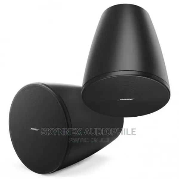 Bose Pendant Speaker