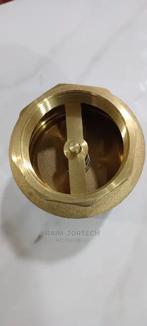 2" Brass Spring Loaded Non-Return Valve