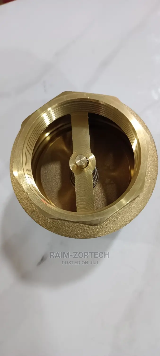 2" Brass Spring Loaded Non-Return Valve