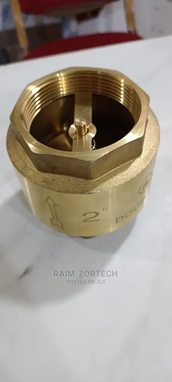 2" Brass Spring Loaded Non-Return Valve