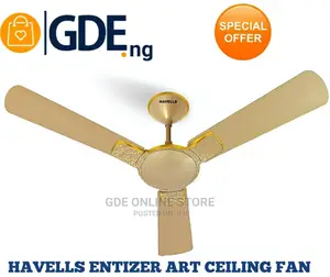 Havellentizer Art Ceiling Fan