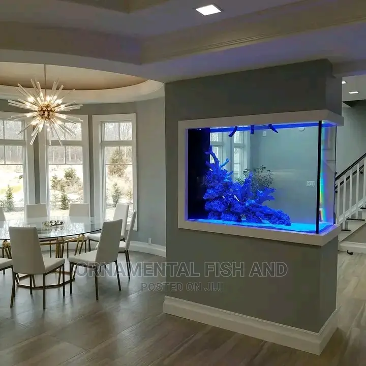 Half Wall Exotic Aquarium