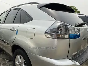 Lexus RX 330 2006 Silver