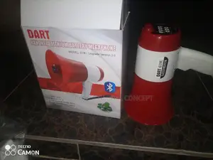 Small Bluetooth Megaphone