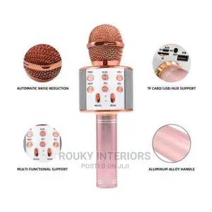 Microphone Speaker