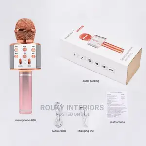 Microphone Speaker