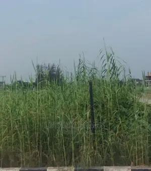 Plots of Land for Sale at Ikoyi