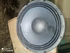10inces Mackkie Woofers