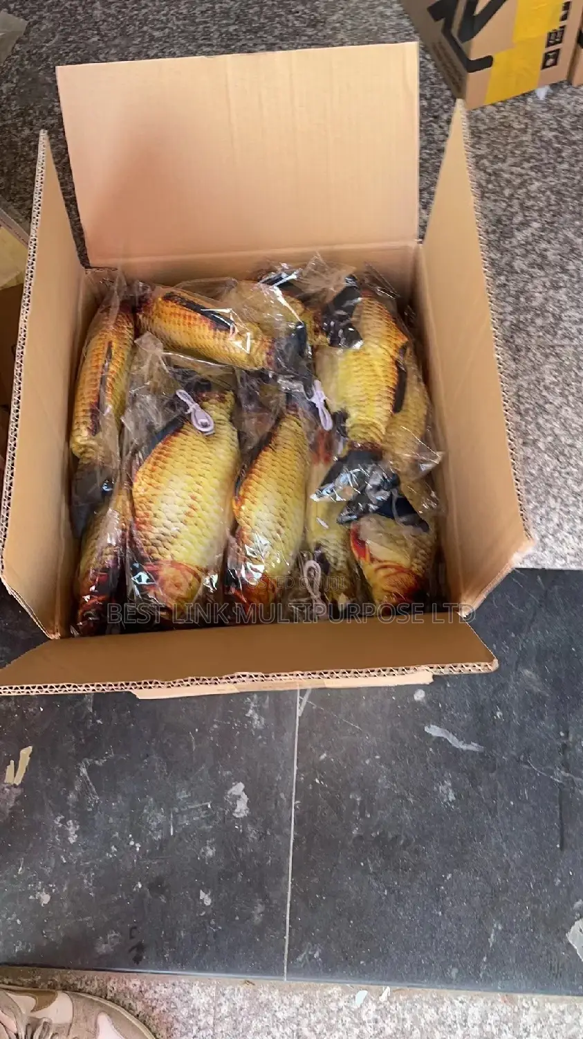 Dancing Toy Fish